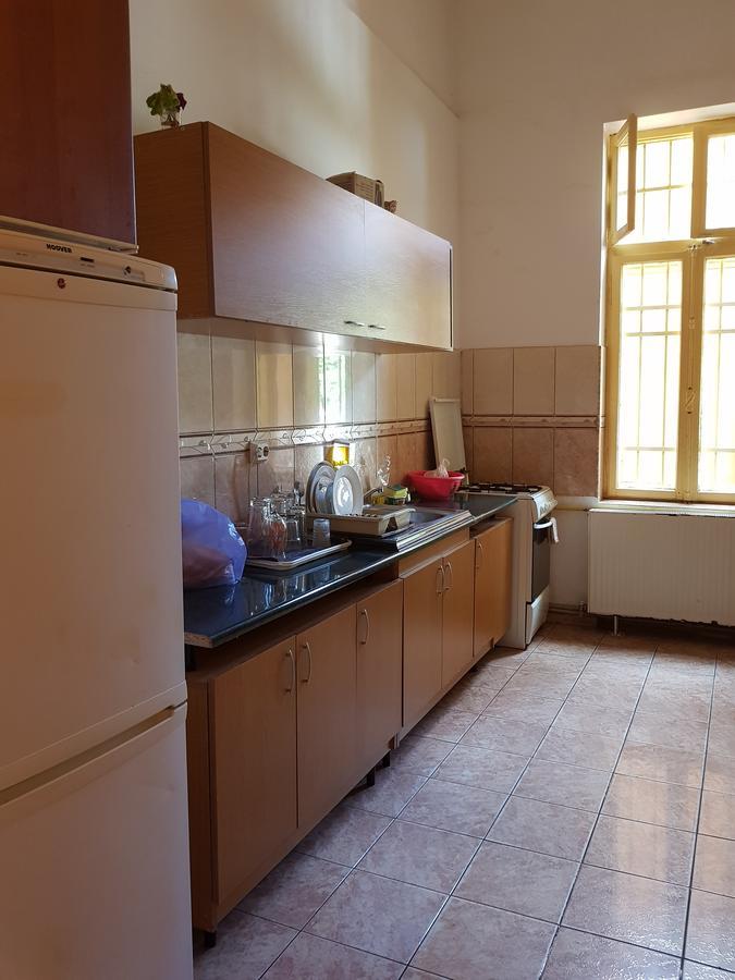 Хостел Casa Boiereasca Крайова Экстерьер фото